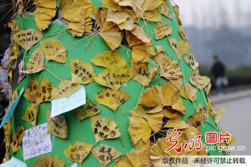 圣诞节寄语短句十个字英文