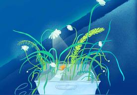 City Goodnight(TF家族/TF家族-朱志鑫)