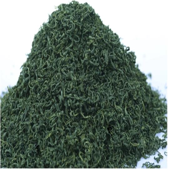 浏览淘宝2019年新茶叶日照绿茶春茶高山云雾浓香耐泡型散装一斤包邮500g价格