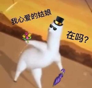 沙雕跳舞羊驼微信qq表情包斗图聊天尬聊呆萌可爱表情包动态图50个
