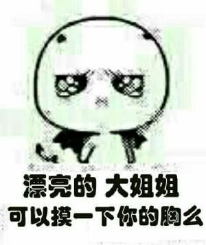 能让我摸一下胸部吗就摸一下表情包