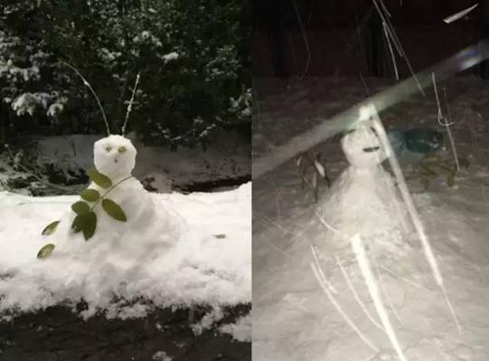 你来看看人类制造的雪人有多可怕吧