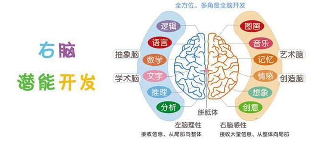 开发宝宝右脑有方法 开发宝宝右脑有方法