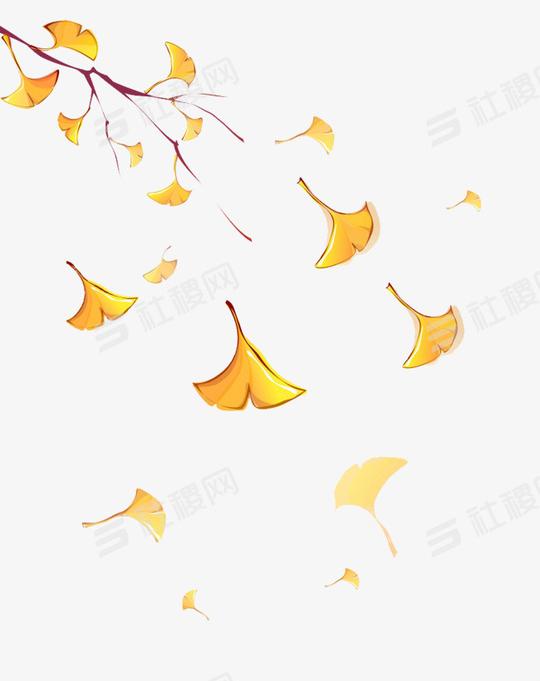 漂浮的银杏叶素材