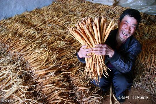 都说农村又脏又累，不赚钱，但有人干这个，说买车买房很轻松!