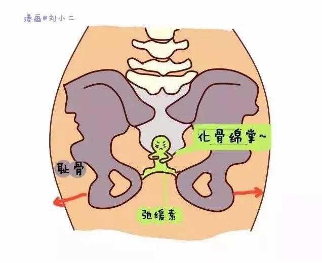 孕期耻骨很疼怎么办