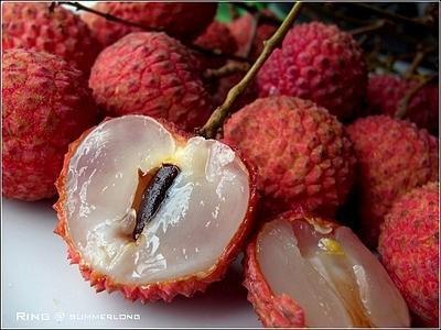 为什么荔枝吃多了会得荔枝病