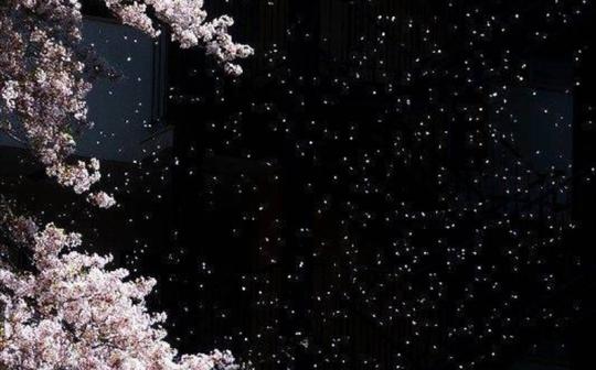 【解压助眠】星空雨点，释放你的压力，纯净的声音，放空你的心灵