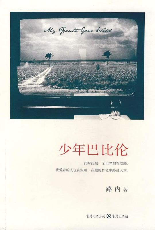 文学界没有青春小说这个说法,有成长小说的说法,二者有本质的不同.