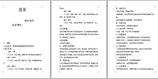 商业计划书(创业项目,营销策划,兼具创意与严谨)
