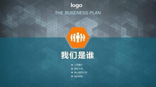 【绝对精美】毛皮鞣制及制品加工商业计划创业计划项目计划创业大赛