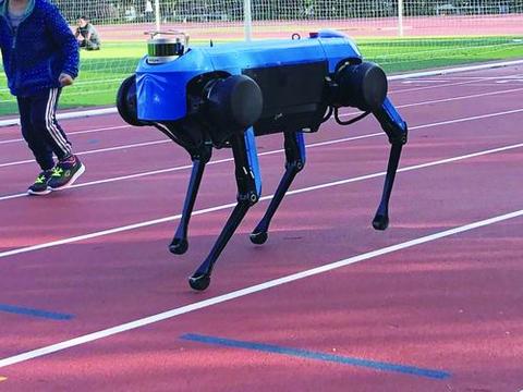 机器人跑步状态