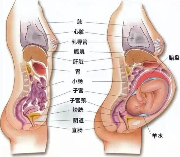 卵泡发育不良要备孕是吃药还是怎么的