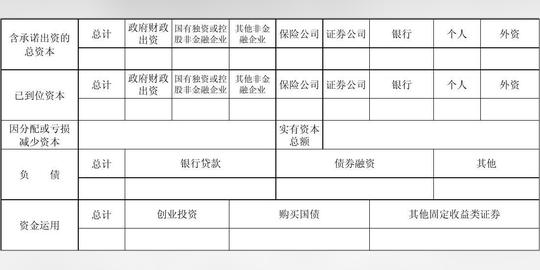 创业投资企业备案初次备案申请表格创业投资企业资本资产分布情况表