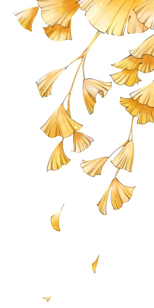 秋天的银杏叶透明装饰素材(650×1465)