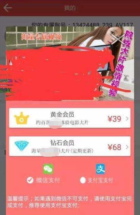 套路哥揭秘诱导"假"黄网,日收两百万,一年赚七个亿的黑色产业