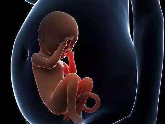 怀孕第10周宝宝发育怎么样