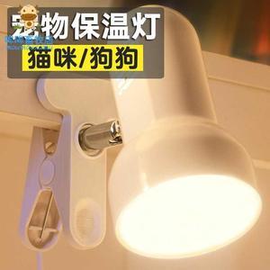 新生儿在什么情况下需要住保温箱