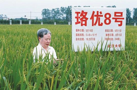 鄂东北农村8张图-大联合促进大支撑资源整合是构建协同创新格局的前提.省创新中心