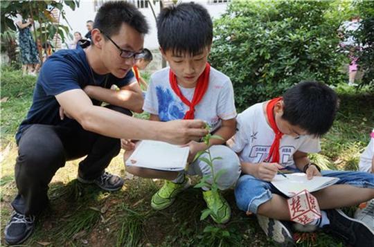 因地制宜制作自然笔记，小学生校园里绘制自然风光
