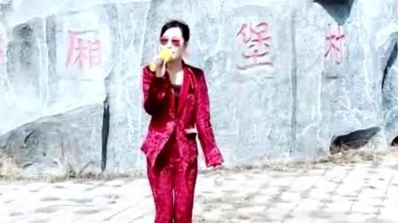 歌声优雅听歌识曲《女儿情》终于找到这首歌!