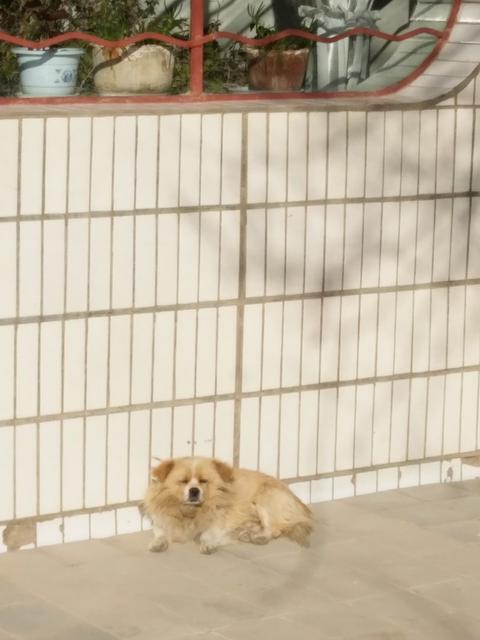 带宝宝晒太阳