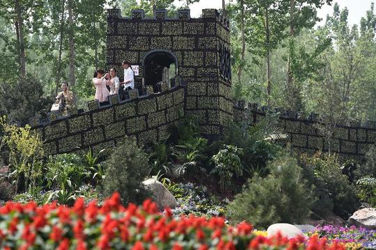 社会2山西交城黑色煤海开出彩色产业
