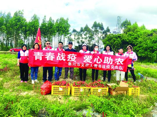 团市委发动志愿者爱心助农采摘销售滞销农产品。