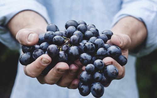 孕妇吃葡萄的好处有哪些