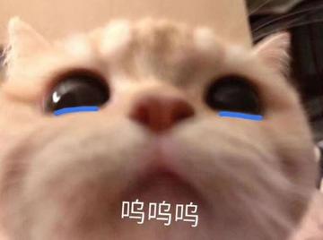 呜呜呜呜表情包可爱