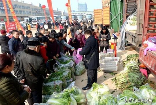 5万成本在农村创业做什么?这3大行业是未来趋势，或许能“翻盘”