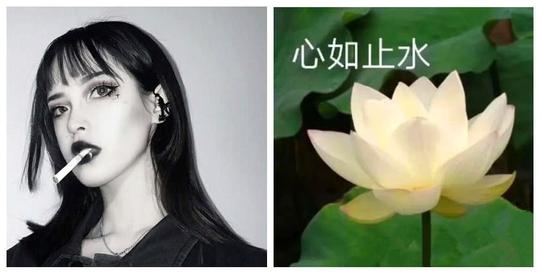 当你被拉进家长群后,头像画风突变,网友:你是魔鬼还是