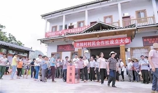 乡村微课堂|家庭农场pk合作社，哪个更适合你创业起步?