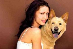 沙隆·伊丽莎白