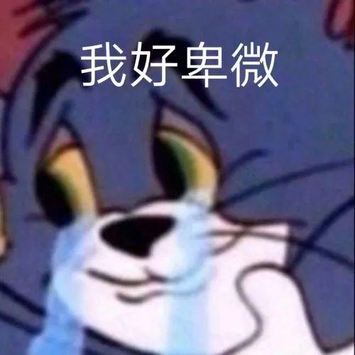 原创魔性洗脑又上头,这批沙雕喵表情包到底什么来头?