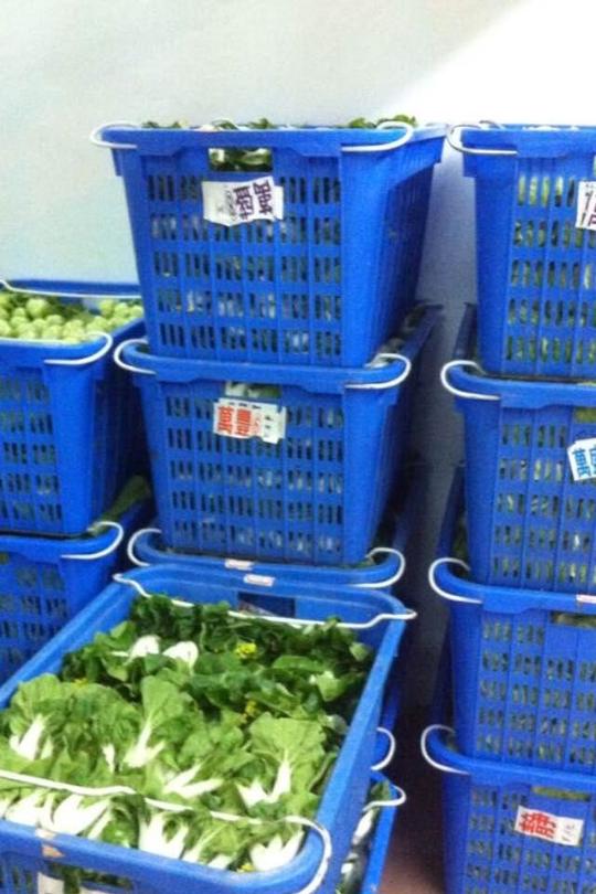 0914_永和蔬菜配送_广州市金麦粮餐饮服务有限公司