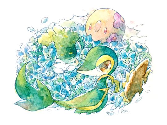 我最喜欢的宝可梦--藤藤蛇和君主蛇