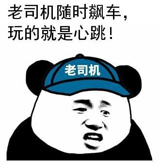  作为老司机的我都心惊胆颤搞笑表情