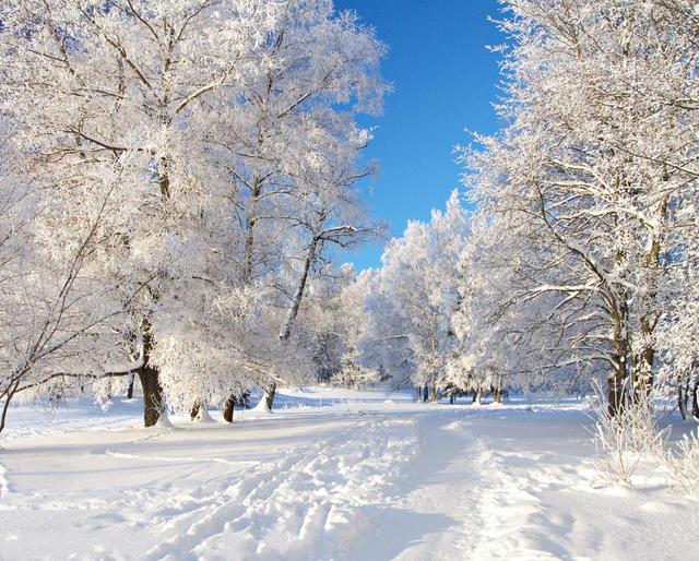 下雪浪漫唯美句子图片