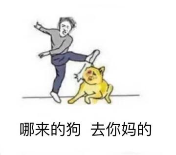 去你妈逼看我不neng死你