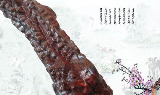 这种树不值钱农村山上有很多做成拐杖一根却能卖200多元