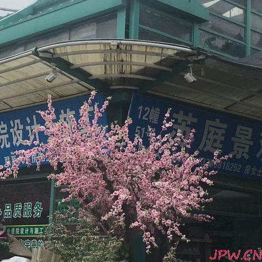 (出售)旺铺出售,花木交易市场,佳好位,成熟市场,创业首