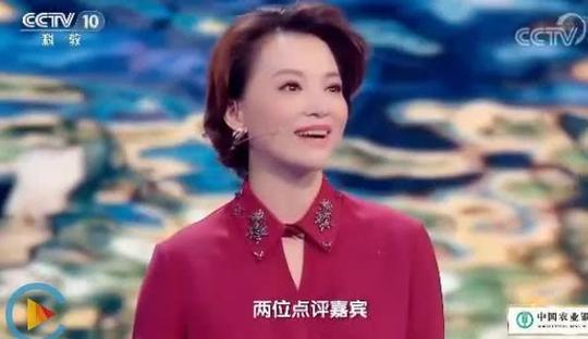 董卿的《中国诗词大会3》1-6期开场白,教科书般的作文素材