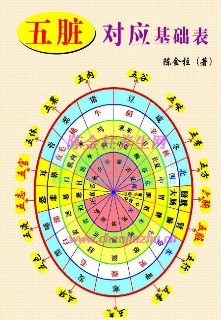 五行相关图-精读黄帝内经五常政大论篇第七十