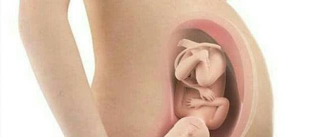 胎儿入盆自己怎么摸图解