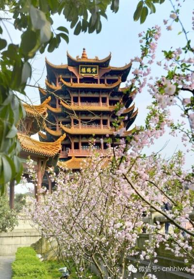黄鹤楼免费预约时间