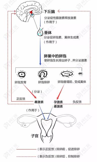 怀孕初期出血3大原因需警惕