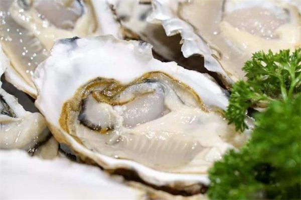 8小时减肥法可以喝茶吗