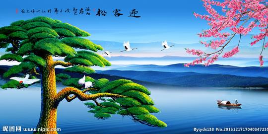 黄山迎客松图片