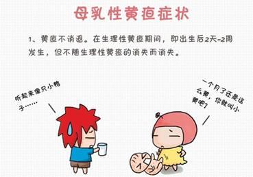 宝宝有黄疸要停掉母乳吗